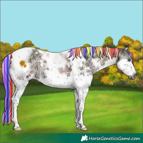 Horse Color:Gray Platinum Painted White Spotted Silver Brown Ice Onyx Splash Tobiano Brindle 