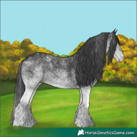 Horse Color:White Spotted Black 