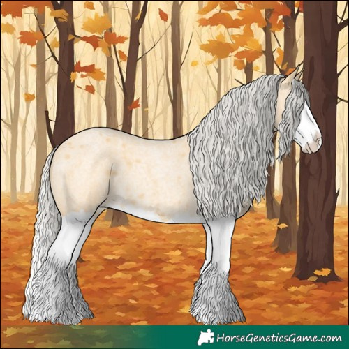 Horse Color:Silver Buckskin Roan Splash 
