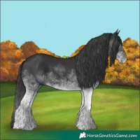 Horse Color:White Spotted Black 