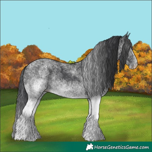 Horse Color:White Spotted Black
