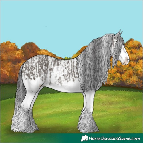 Horse Color:Smoky Grullo Sabino Splash and Smoky Grullo Sabino Splash
