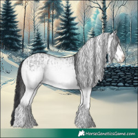 Horse Color:White Spotted Blue Roan Rabicano  and White Spotted Blue Roan Rabicano 