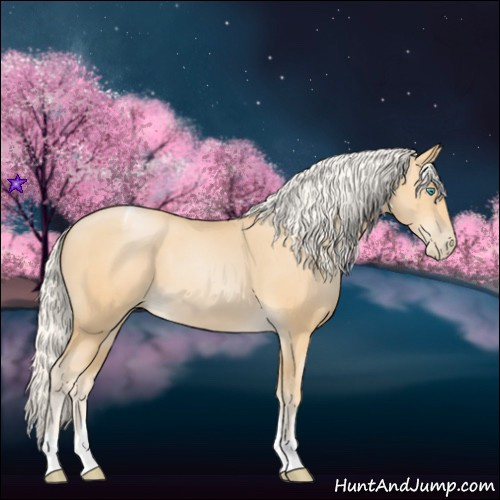 Horse Color:Silver Smoky Black Pearl Tobiano 