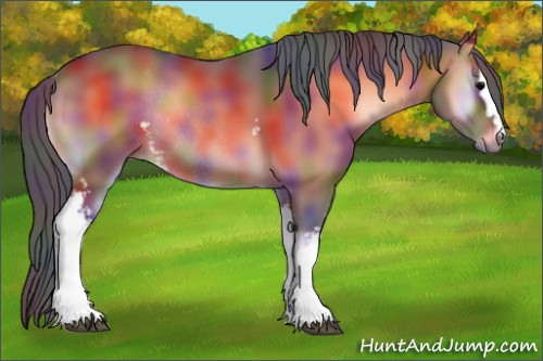 Horse Color:Nacre White Spotted Bay Onyx Rabicano 