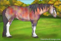 Horse Color:Nacre White Spotted Bay Onyx Rabicano