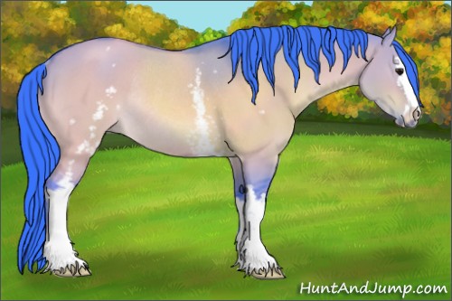 Horse Color:Watercolor White Spotted Bay Dun Sabino Rabicano