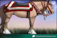Horse Color:Amber Champagne