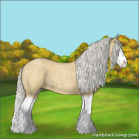 Horse Color:Silver Buckskin Roan Splash 