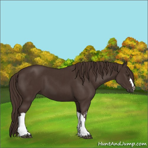 Horse Color:Liver Chestnut and Liver Chestnut