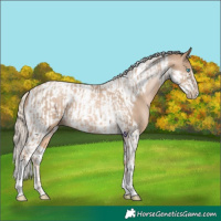 Horse Color:Chocolate Palomino Pearl Tobiano Frame  and Chocolate Palomino Pearl Tobiano Frame 
