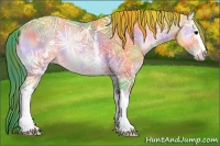 Horse Color:Nacre Watercolor White Spotted Bay Ice Onyx Sabino Rabicano