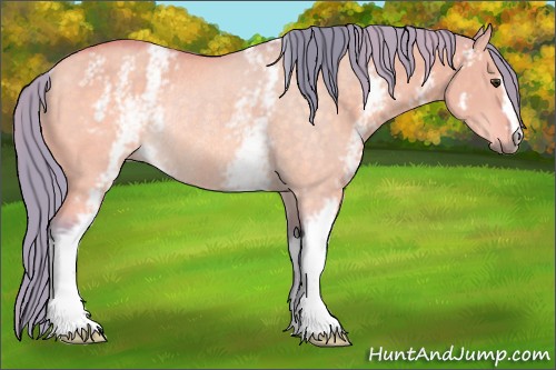 Horse Color:Watercolor White Spotted Buckskin Dun Rabicano