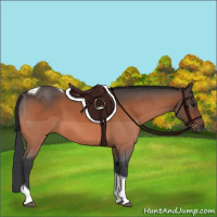 Horse Color:Bay Roan Tobiano 