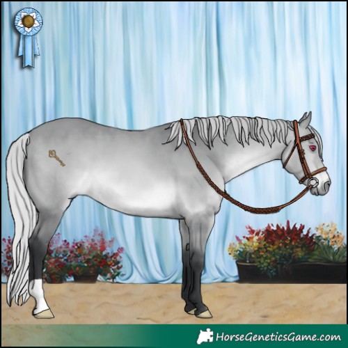 Horse Color:Silver Bay Chinchilla 