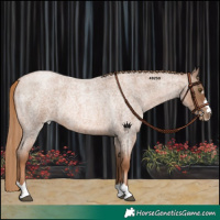 Horse Color:Liver Red Roan Pearl 