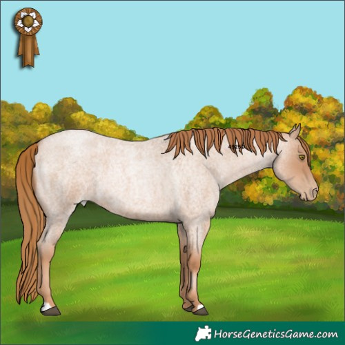 Horse Color:Red Roan Pearl 