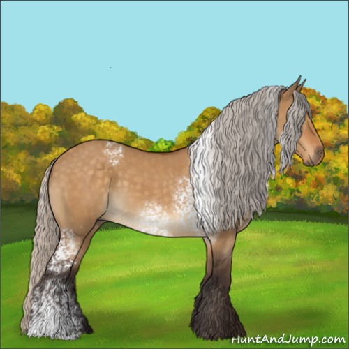 Horse Color:White Spotted Silver Buckskin Dun