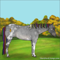 Horse Color:Painted Blue Roan Tobiano 