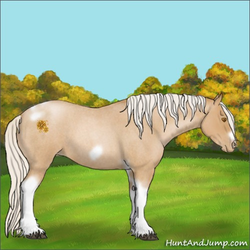 Horse Color:Silver Blue Roan Pearl Tobiano Frame 