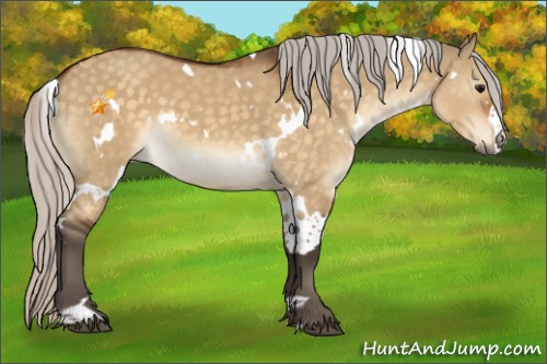 Horse Color:White Spotted Silver Buckskin Dun 