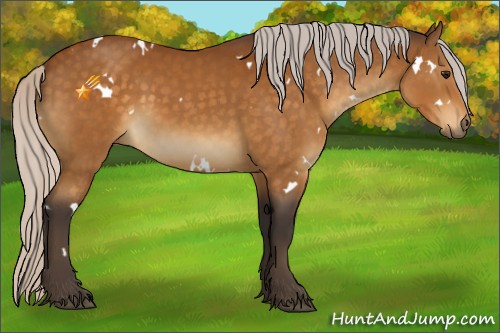 Horse Color:White Spotted Silver Buckskin 