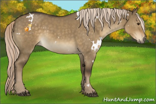 Horse Color:White Spotted Chocolate Palomino Dun 