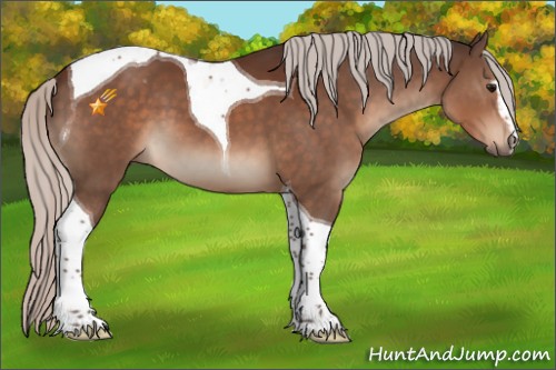 Horse Color:Silver Brown Sabino Tobiano 