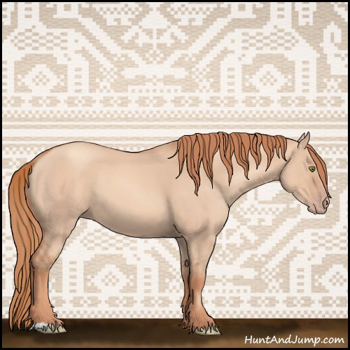 Horse Color:Gold Champagne Dun