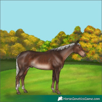 Horse Color:Liver Chestnut Mushroom Tobiano