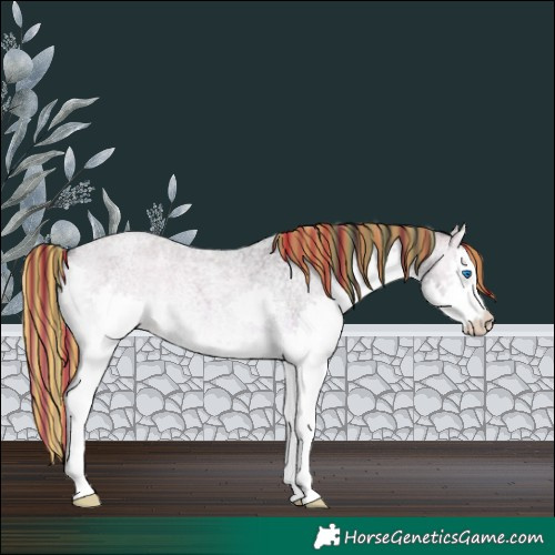 Horse Color:Painted Brown Roan Onyx Splash
