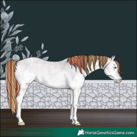 Horse Color:Painted Brown Roan Onyx Splash