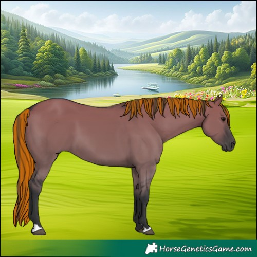 Horse Color:Painted Grullo