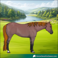Horse Color:Painted Grullo