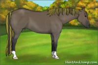 Horse Color:Painted Grullo 