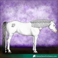 Horse Color:Gray White Spotted Silver Amber Champagne Appaloosa 