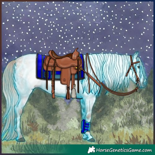Horse Color:Gray Thunderstruck Red Roan 