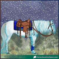 Horse Color:Gray Thunderstruck Red Roan