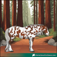 Horse Color:Silver Bay Splash Tobiano Near Leopard 