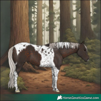 Horse Color:Silver Brown Tobiano 
