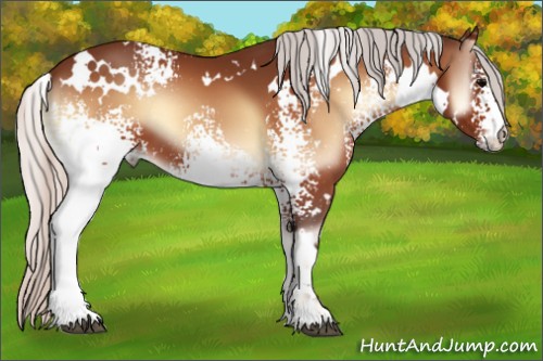 Horse Color:White Spotted Silver Bay Onyx 
