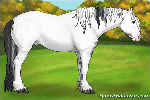 Horse Color:Platinum White Spotted Brown Onyx Appaloosa 