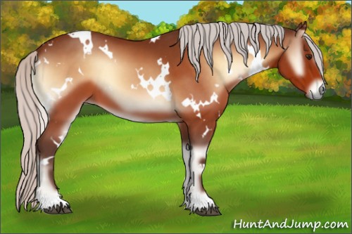 Horse Color:White Spotted Silver Brown Onyx 