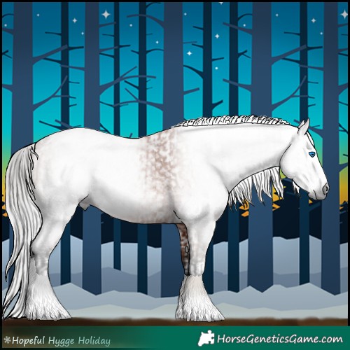 Horse Color:Gray White Spotted Bay Splash Tobiano  and Gray Bay Sabino Tobiano 