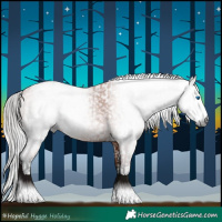 Horse Color:Gray White Spotted Bay Splash Tobiano  and Gray Bay Sabino Tobiano 