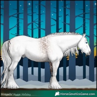 Horse Color:Gray White Spotted Bay Splash Tobiano  and Gray Bay Sabino Tobiano 