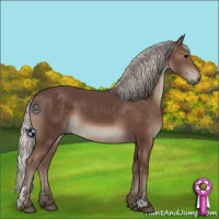 Horse Color:Silver Black 