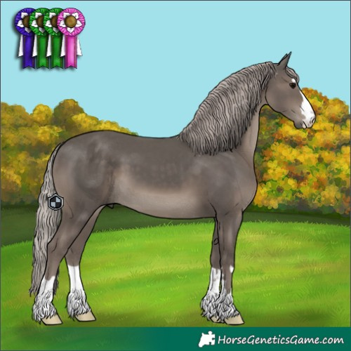 Horse Color:Silver Black 
