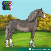 Horse Color:Silver Black 