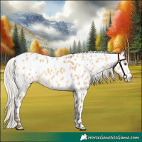 Horse Color:Silver Buckskin Dun Near Leopard 